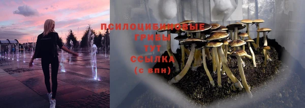 ГАЛЛЮЦИНОГЕННЫЕ ГРИБЫ Абдулино