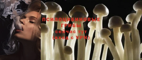 ГАЛЛЮЦИНОГЕННЫЕ ГРИБЫ Абдулино