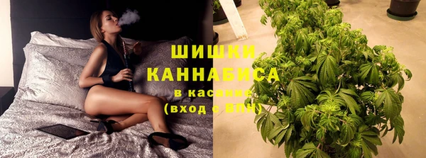 PSILOCYBIN Абаза